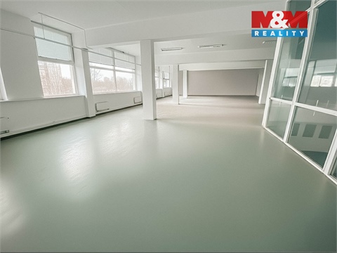 Pronájem obchodních prostor, 500 m² - 8