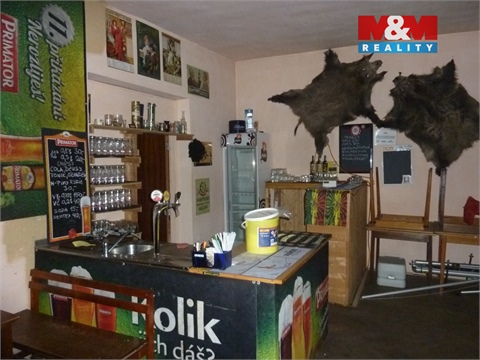 Prodej rodinného domu, 450 m² - 16