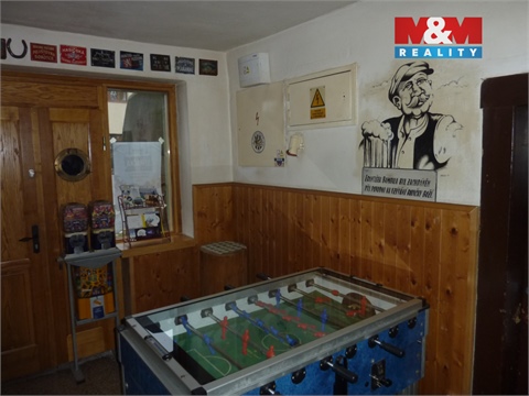 Prodej rodinného domu, 450 m² - 14