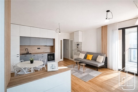 Pronájem bytu 1kk, 42 m² 0