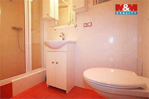 Prodej bytu 2+1, 33 m² 6