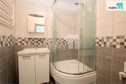 Pronájem bytu 2+1, 52 m² 8