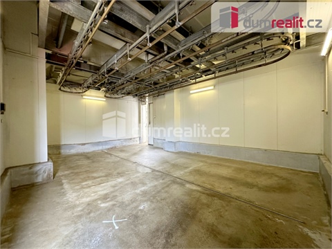 Prodej výrobního objektu, 22 351 m² - 16