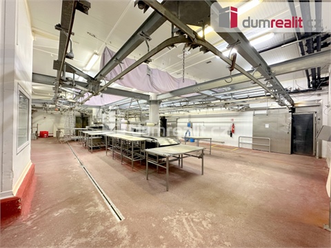 Pronájem výrobního objektu, 22 351 m² 10