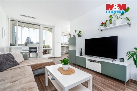 Prodej bytu 3+1, 64 m² 8