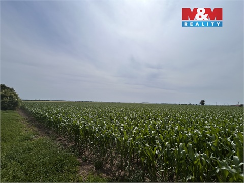 Prodej zemědělské půdy, 8 491 m² 6