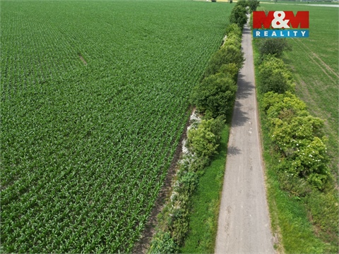 Prodej zemědělské půdy, 8 491 m² - 0