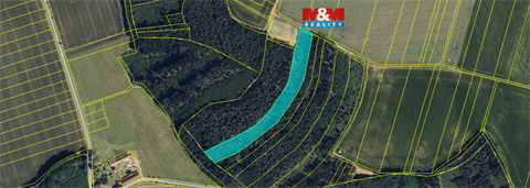 Prodej lesu, 12 592 m² 0