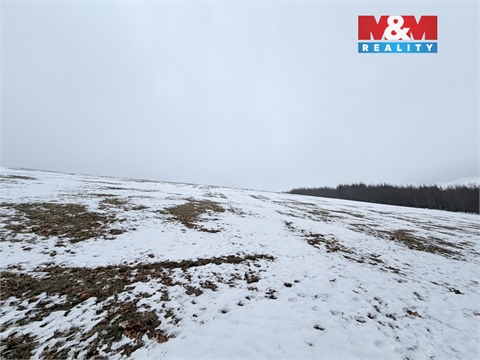 Prodej louky, 7 222 m² - 0