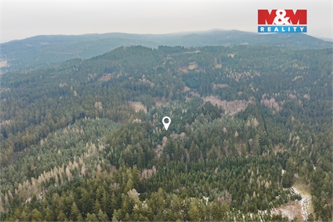 Prodej lesu, 6 294 m² - 0