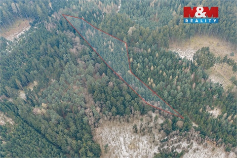 Prodej lesu, 6 294 m² 6