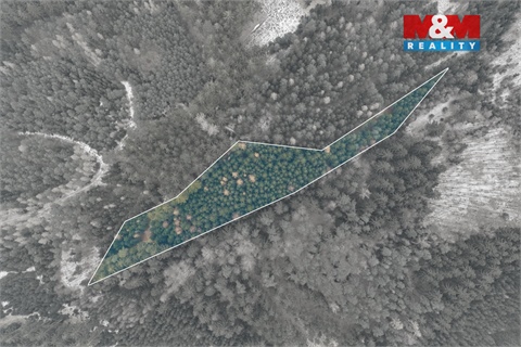 Prodej lesu, 6 294 m² - 8