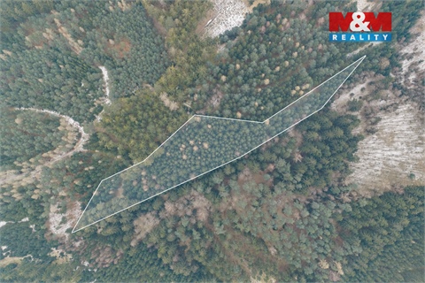 Prodej lesu, 6 294 m² 8