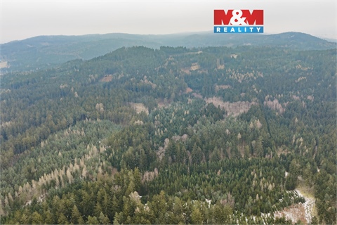 Prodej lesu, 6 294 m² 0