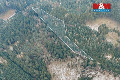 Prodej lesu, 6 294 m² 4