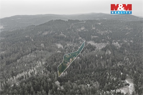 Prodej lesu, 6 294 m² - 2