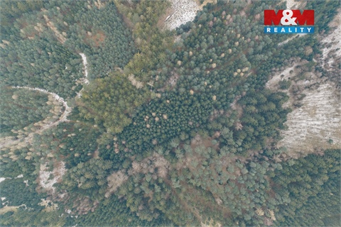 Prodej lesu, 6 294 m² - 6