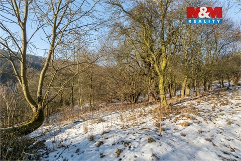 Prodej zahrady, 1 648 m² - 2