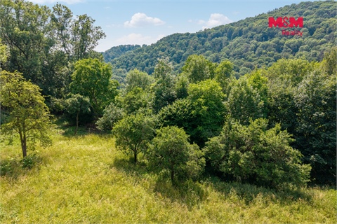 Prodej zahrady, 1 648 m² - 8