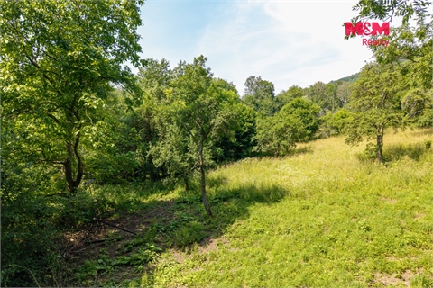 Prodej zahrady, 1 648 m² - 12