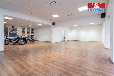 Prodej obchodních prostor, 500 m² - 6