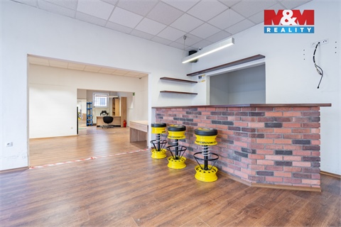 Prodej obchodních prostor, 500 m² - 0