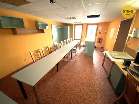 Pronájem obchodních prostor, 270 m² - 2