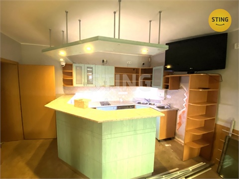 Pronájem obchodních prostor, 270 m² - 4