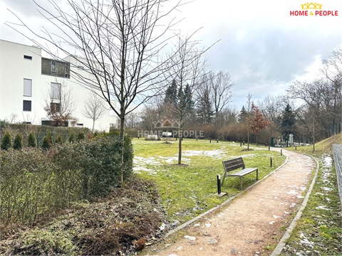 Pronájem bytu 4kk, 86 m² 24