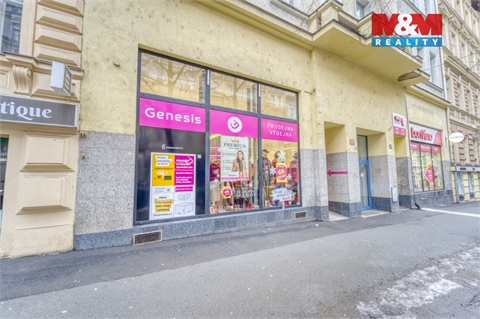 Pronájem obchodních prostor, 161 m² - 14