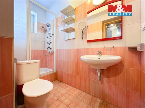 Prodej rodinného domu, 270 m² - 20