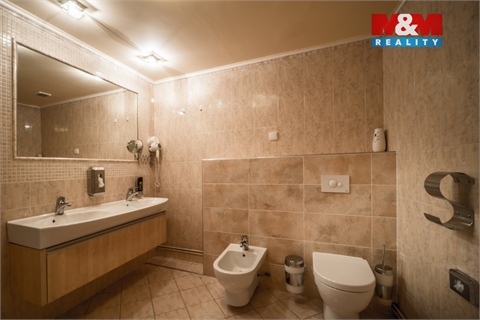 Pronájem bytu 4kk, 102 m² 8