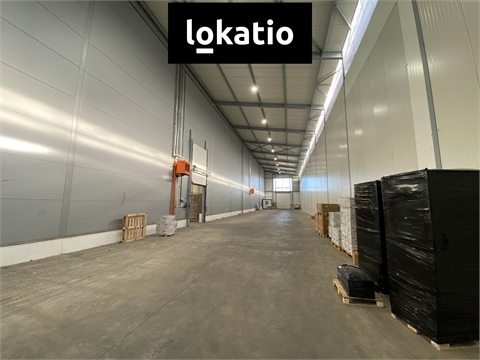 Pronájem skladu / haly, 1 300 m² - 2