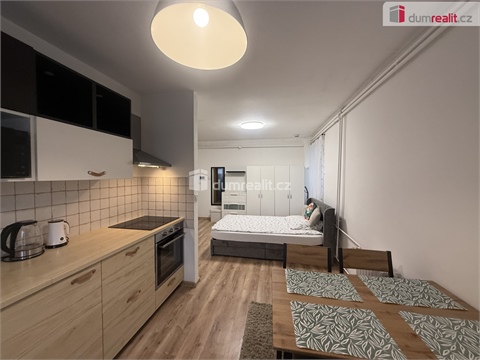 Pronájem bytu 1kk, 33 m² 8