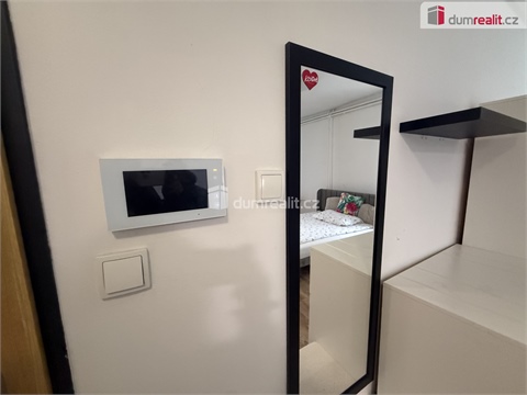 Pronájem bytu 1kk, 33 m² - 10