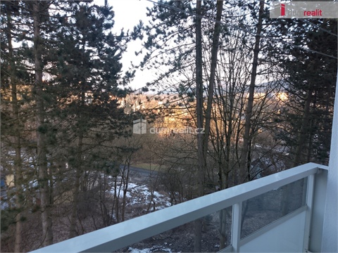 Pronájem bytu 2+1, 61 m² 28