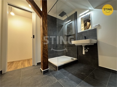 Pronájem bytu 1kk, 41 m² 6