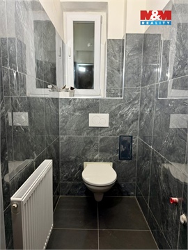 Pronájem bytu 5+1, 166 m² - 10