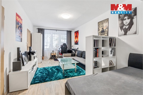 Prodej bytu 1+1, 41 m² 4