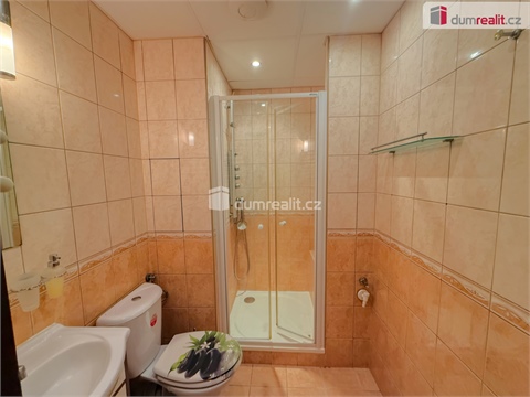 Pronájem bytu 1+1, 37 m² 2