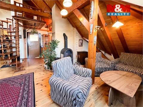 Prodej rodinného domu, 744 m² - 10