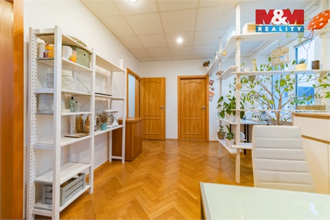 Prodej bytu 4+1, 81 m² 12