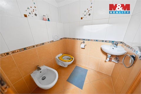 Prodej rodinného domu, 206 m² - 12