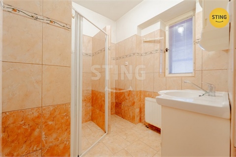 Prodej rodinného domu, 319 m² - 20