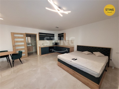 Pronájem bytu 1kk, 41 m² 2