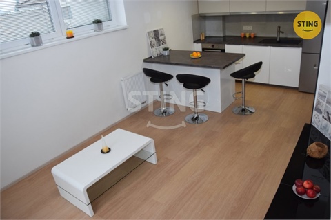 Pronájem atypického bytu, 46 m² - 10