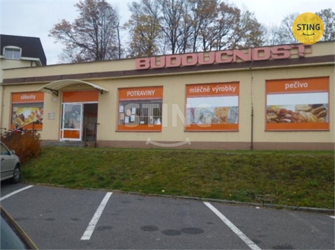 Pronájem skladu / haly, 46 m² 8