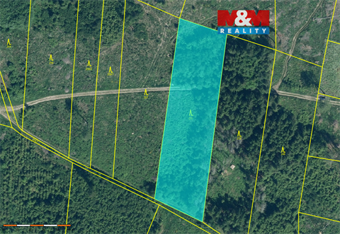 Prodej lesu, 9 917 m² 0