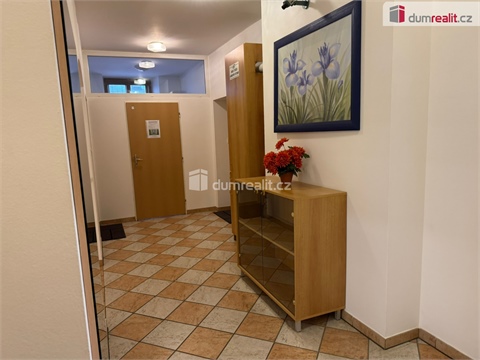 Pronájem komerčního objektu, 31 m² - 28