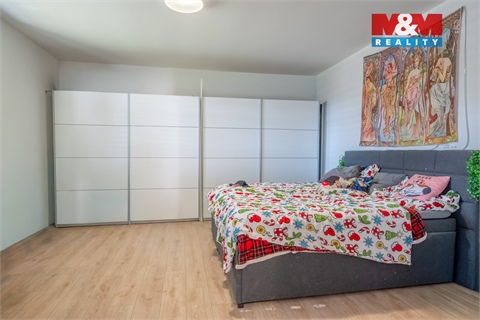 Prodej rodinného domu, 429 m² - 18